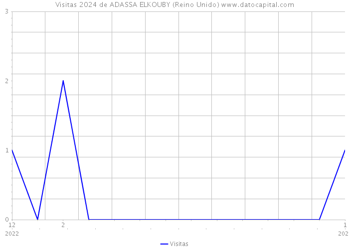 Visitas 2024 de ADASSA ELKOUBY (Reino Unido) 