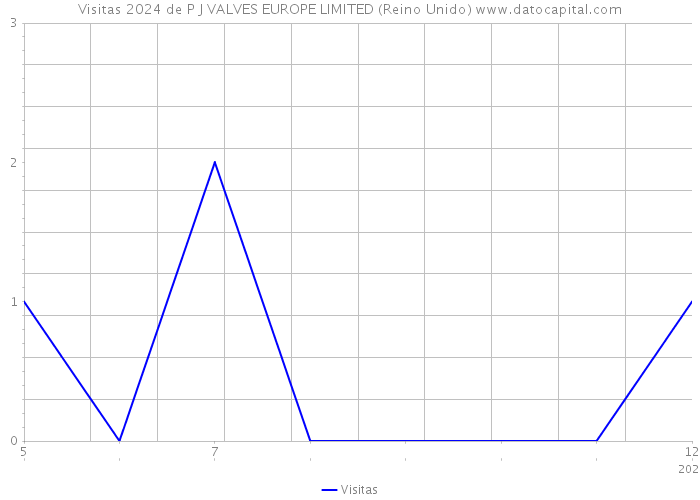 Visitas 2024 de P J VALVES EUROPE LIMITED (Reino Unido) 