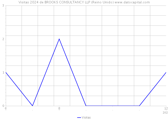 Visitas 2024 de BROOKS CONSULTANCY LLP (Reino Unido) 