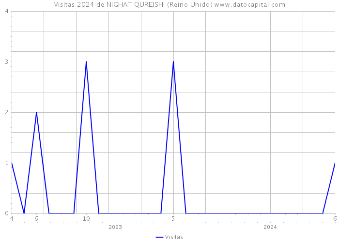 Visitas 2024 de NIGHAT QUREISHI (Reino Unido) 