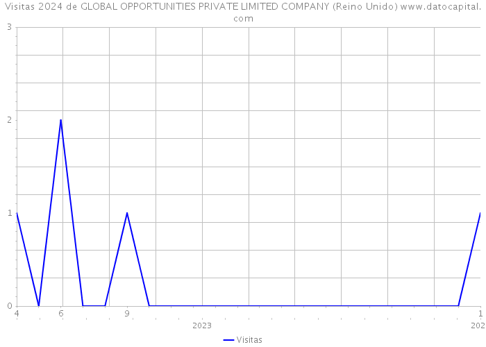 Visitas 2024 de GLOBAL OPPORTUNITIES PRIVATE LIMITED COMPANY (Reino Unido) 