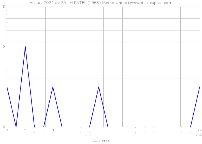 Visitas 2024 de SALIM PATEL (1965) (Reino Unido) 