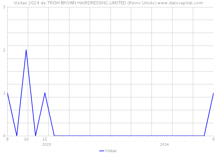 Visitas 2024 de TRISH BROWN HAIRDRESSING LIMITED (Reino Unido) 