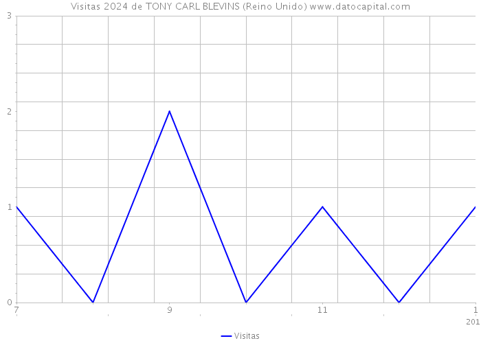 Visitas 2024 de TONY CARL BLEVINS (Reino Unido) 