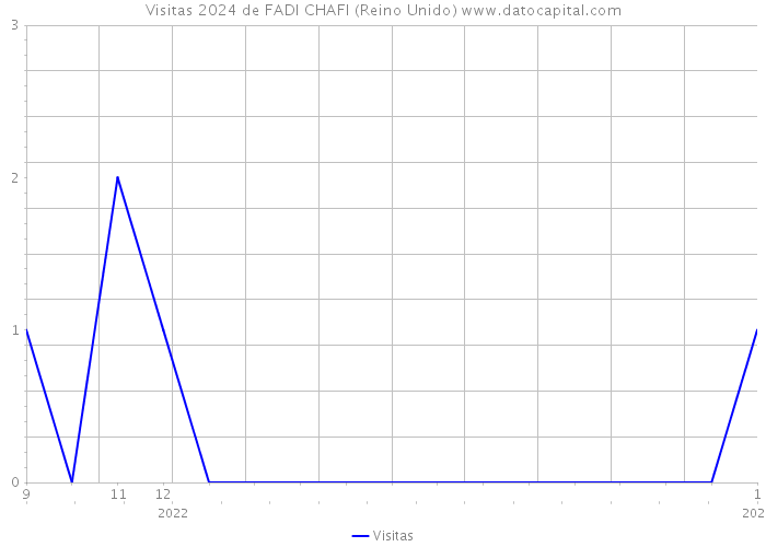 Visitas 2024 de FADI CHAFI (Reino Unido) 