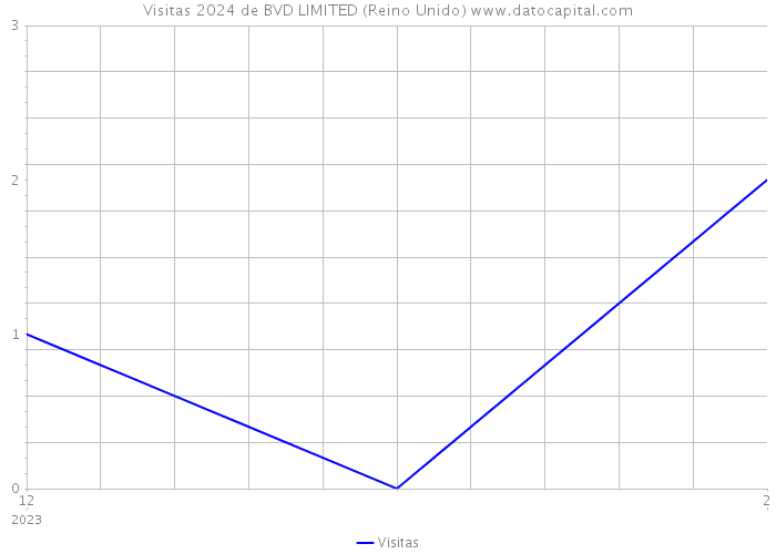 Visitas 2024 de BVD LIMITED (Reino Unido) 