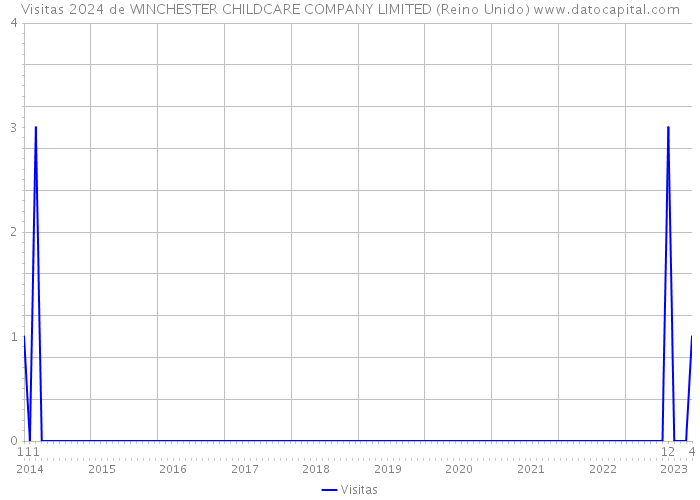 Visitas 2024 de WINCHESTER CHILDCARE COMPANY LIMITED (Reino Unido) 