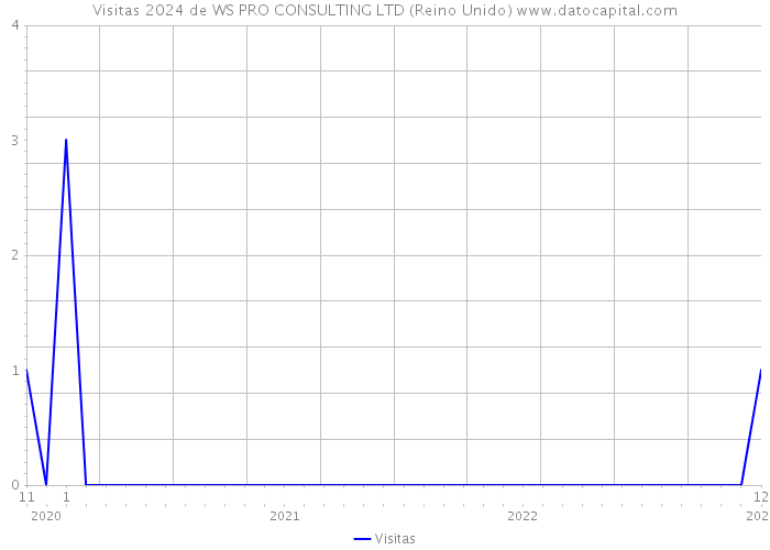 Visitas 2024 de WS PRO CONSULTING LTD (Reino Unido) 