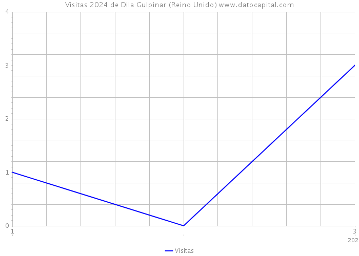 Visitas 2024 de Dila Gulpinar (Reino Unido) 