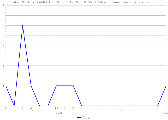 Visitas 2024 de DIAMOND RIDGE CONSTRUCTIONS LTD (Reino Unido) 