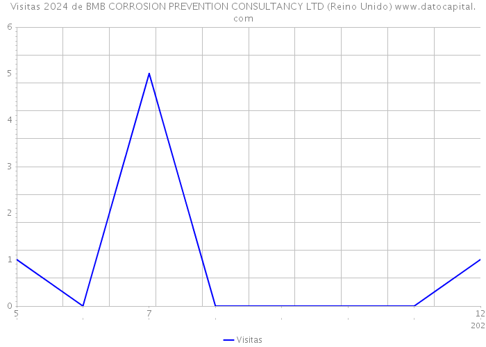 Visitas 2024 de BMB CORROSION PREVENTION CONSULTANCY LTD (Reino Unido) 