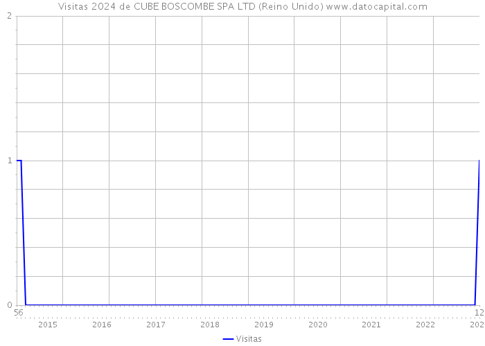 Visitas 2024 de CUBE BOSCOMBE SPA LTD (Reino Unido) 