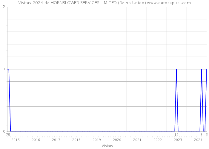 Visitas 2024 de HORNBLOWER SERVICES LIMITED (Reino Unido) 