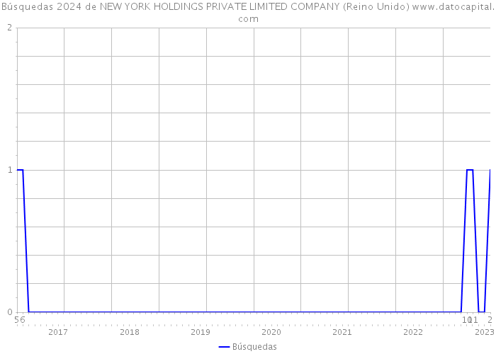 Búsquedas 2024 de NEW YORK HOLDINGS PRIVATE LIMITED COMPANY (Reino Unido) 