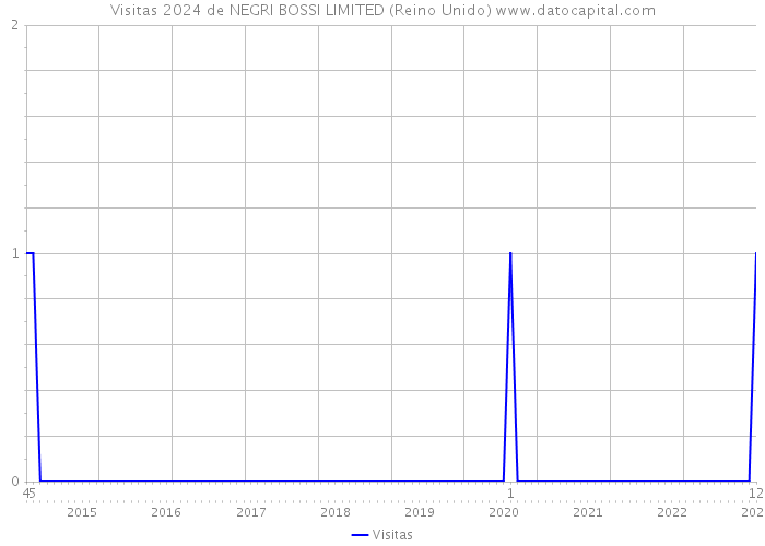 Visitas 2024 de NEGRI BOSSI LIMITED (Reino Unido) 