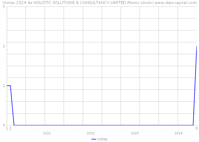 Visitas 2024 de HOLISTIC SOLUTIONS & CONSULTANCY LIMITED (Reino Unido) 