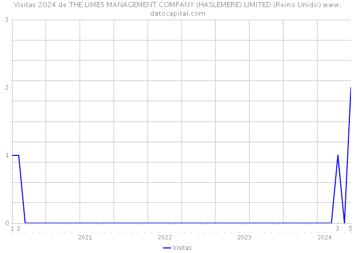 Visitas 2024 de THE LIMES MANAGEMENT COMPANY (HASLEMERE) LIMITED (Reino Unido) 