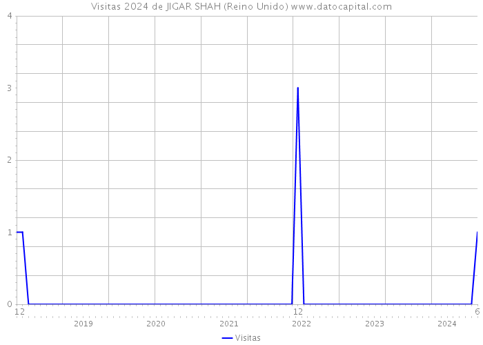 Visitas 2024 de JIGAR SHAH (Reino Unido) 