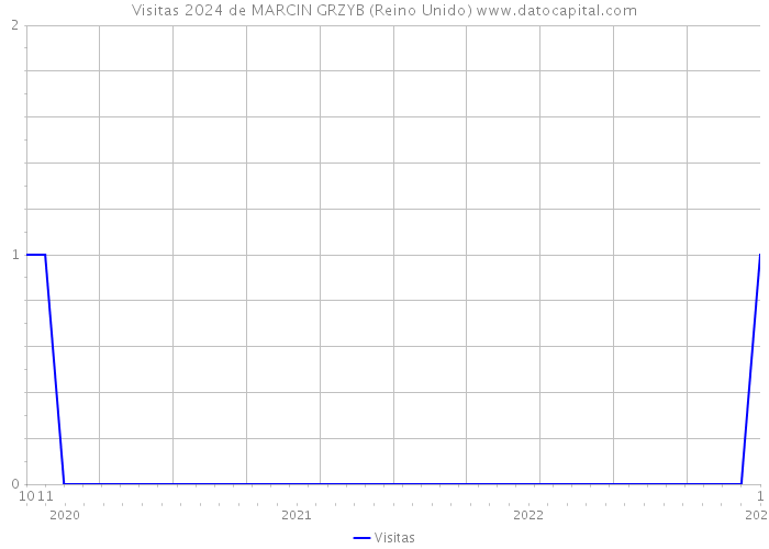 Visitas 2024 de MARCIN GRZYB (Reino Unido) 