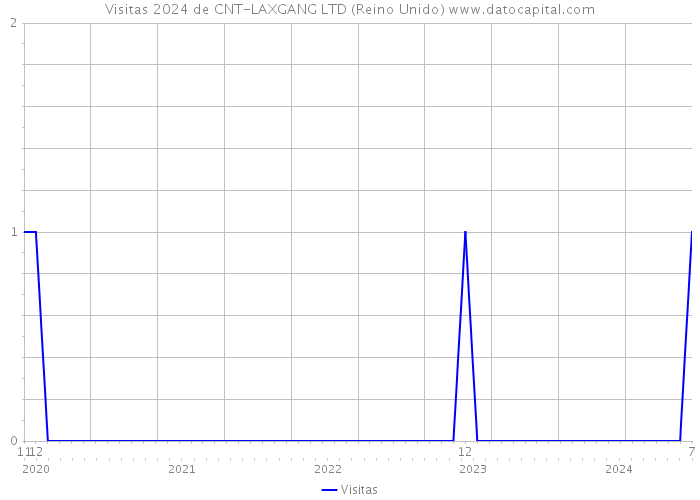 Visitas 2024 de CNT-LAXGANG LTD (Reino Unido) 