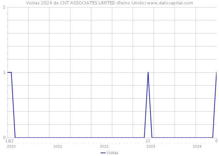 Visitas 2024 de CNT ASSOCIATES LIMITED (Reino Unido) 