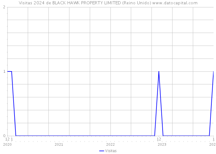 Visitas 2024 de BLACK HAWK PROPERTY LIMITED (Reino Unido) 