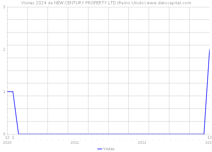 Visitas 2024 de NEW CENTURY PROPERTY LTD (Reino Unido) 