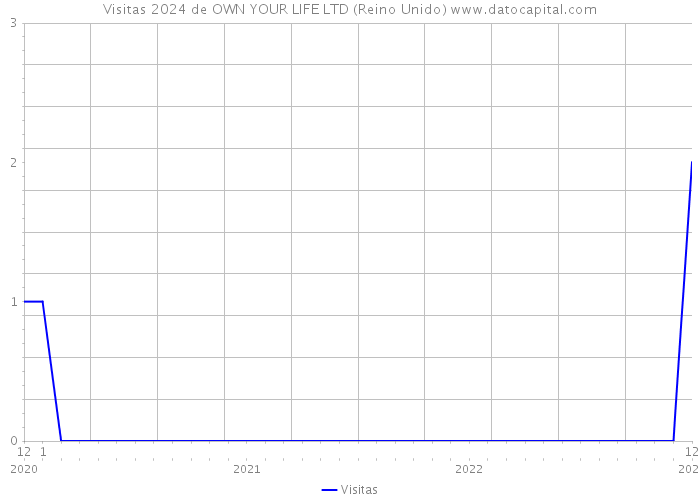 Visitas 2024 de OWN YOUR LIFE LTD (Reino Unido) 