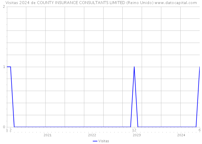 Visitas 2024 de COUNTY INSURANCE CONSULTANTS LIMITED (Reino Unido) 