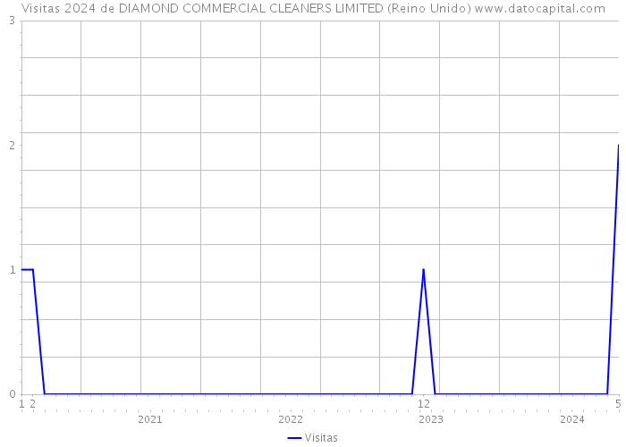 Visitas 2024 de DIAMOND COMMERCIAL CLEANERS LIMITED (Reino Unido) 