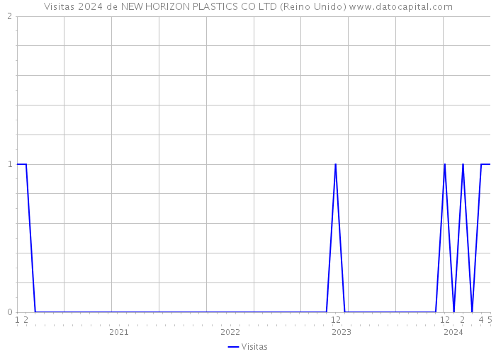 Visitas 2024 de NEW HORIZON PLASTICS CO LTD (Reino Unido) 