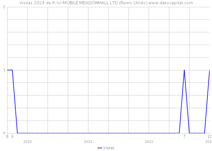 Visitas 2024 de R-U-MOBILE MEADOWHALL LTD (Reino Unido) 