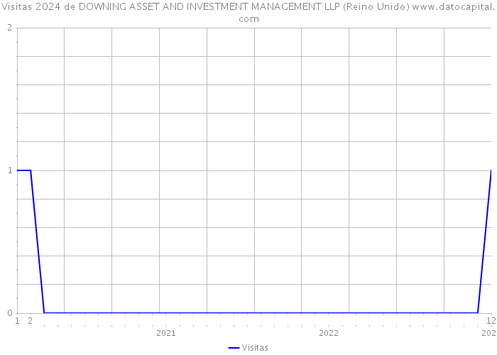 Visitas 2024 de DOWNING ASSET AND INVESTMENT MANAGEMENT LLP (Reino Unido) 