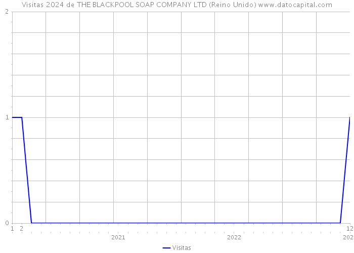 Visitas 2024 de THE BLACKPOOL SOAP COMPANY LTD (Reino Unido) 