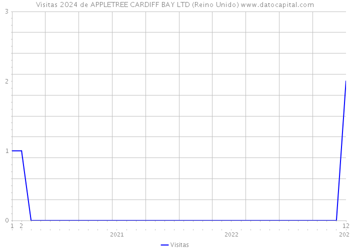 Visitas 2024 de APPLETREE CARDIFF BAY LTD (Reino Unido) 
