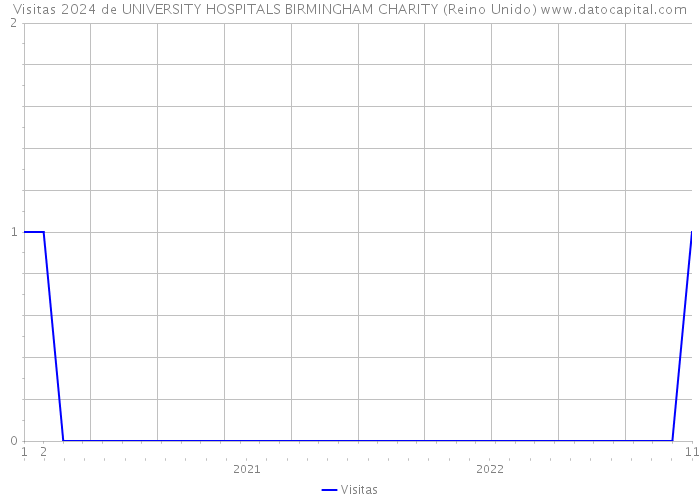 Visitas 2024 de UNIVERSITY HOSPITALS BIRMINGHAM CHARITY (Reino Unido) 