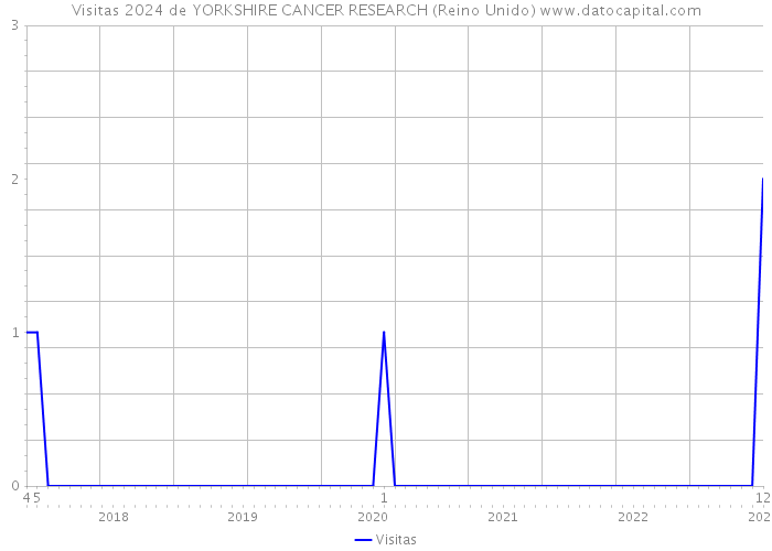 Visitas 2024 de YORKSHIRE CANCER RESEARCH (Reino Unido) 
