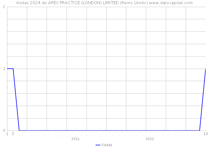 Visitas 2024 de APEX PRACTICE (LONDON) LIMITED (Reino Unido) 