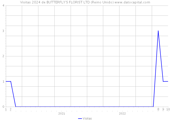 Visitas 2024 de BUTTERFLY'S FLORIST LTD (Reino Unido) 