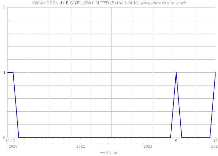 Visitas 2024 de BIG YELLOW LIMITED (Reino Unido) 