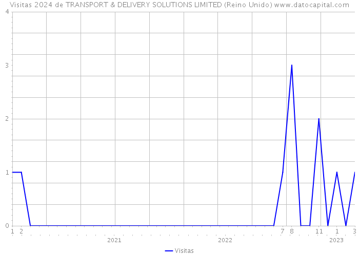 Visitas 2024 de TRANSPORT & DELIVERY SOLUTIONS LIMITED (Reino Unido) 