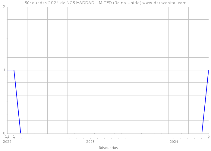 Búsquedas 2024 de NGB HADDAD LIMITED (Reino Unido) 