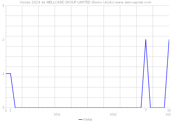 Visitas 2024 de WELLCARE GROUP LIMITED (Reino Unido) 