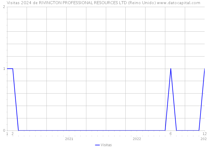 Visitas 2024 de RIVINGTON PROFESSIONAL RESOURCES LTD (Reino Unido) 