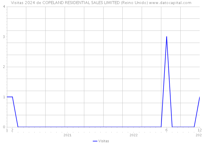 Visitas 2024 de COPELAND RESIDENTIAL SALES LIMITED (Reino Unido) 