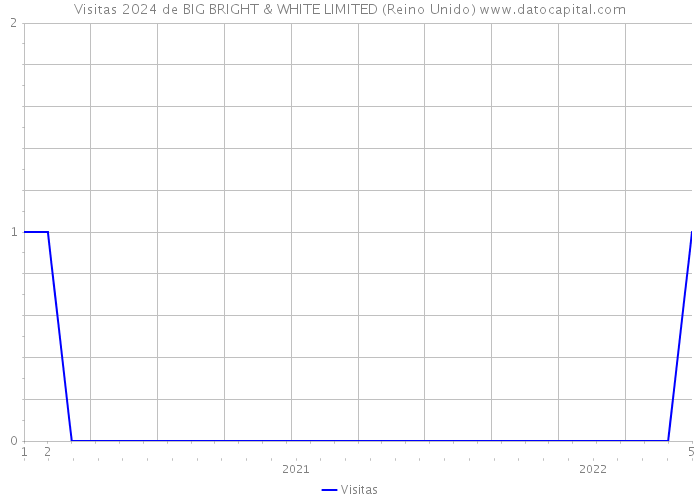 Visitas 2024 de BIG BRIGHT & WHITE LIMITED (Reino Unido) 