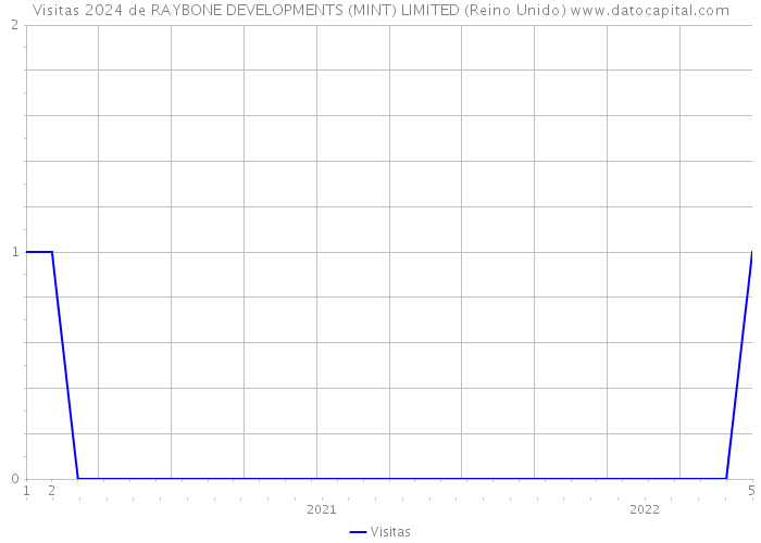 Visitas 2024 de RAYBONE DEVELOPMENTS (MINT) LIMITED (Reino Unido) 