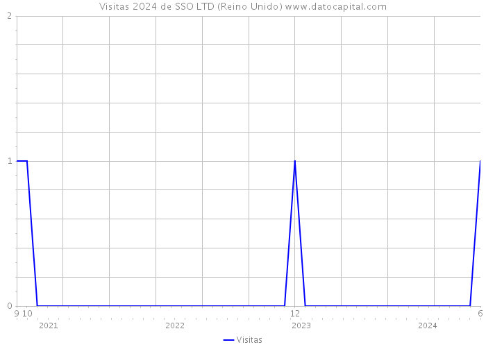 Visitas 2024 de SSO LTD (Reino Unido) 