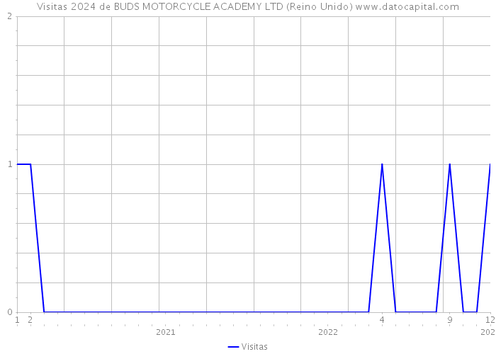 Visitas 2024 de BUDS MOTORCYCLE ACADEMY LTD (Reino Unido) 