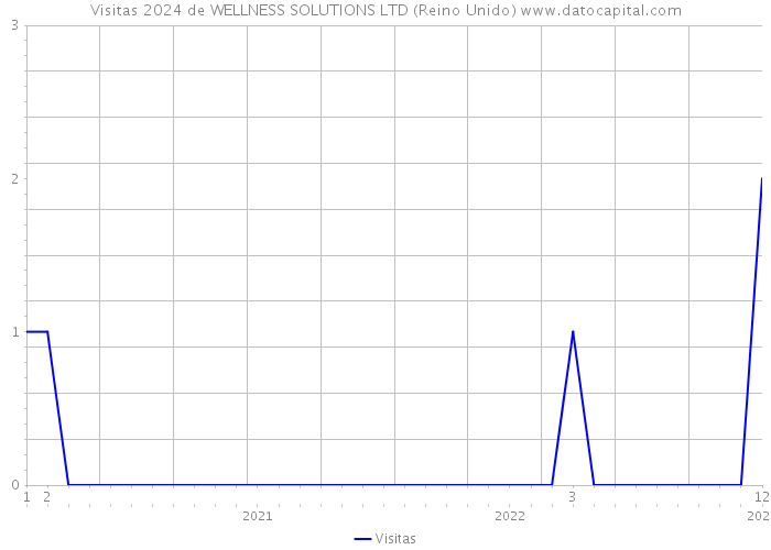 Visitas 2024 de WELLNESS SOLUTIONS LTD (Reino Unido) 